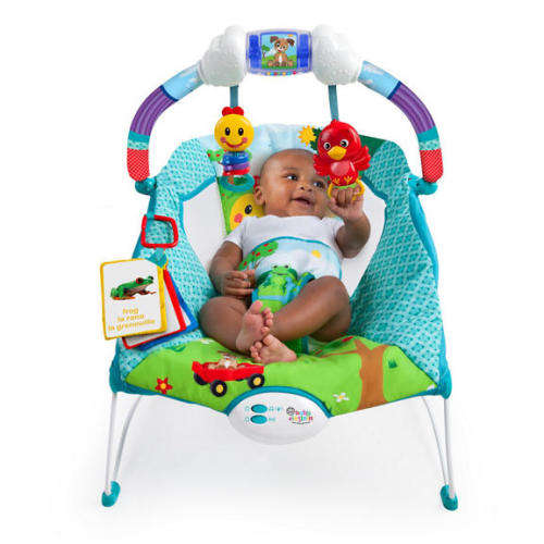 Baby Einstein Caterpillar's Day at the Park Bouncer
