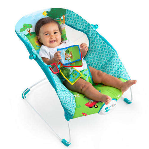 Baby Einstein Caterpillar's Day at the Park Bouncer
