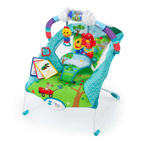 Baby Einstein Caterpillar's Day at the Park Bouncer