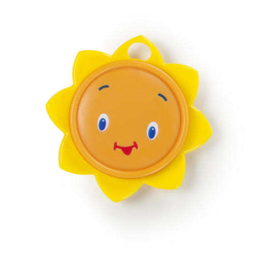 Bright Starts Zippy Zoo Baby Activity Gym