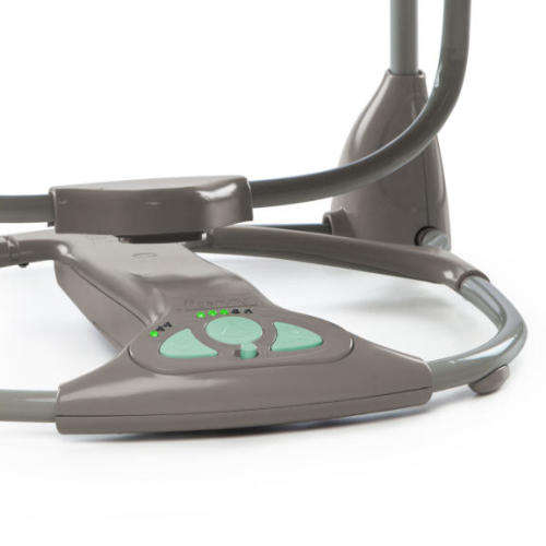 Ingenuity ConvertMe Swing-2-Seat Portable Swing - Orson + Free toy
