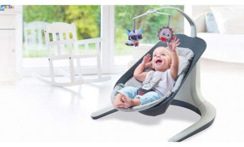 Tiny Love Nature's Way Bounce and Sway & Bright Starts Toy COMBO