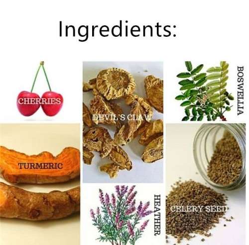 Chinese Herbal Tea For Gout and Arthritis - 20 Servings
