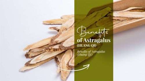 Goji Berries + Huang Qi (CHM) Dried Astragalus Root + Jujube Red Dates