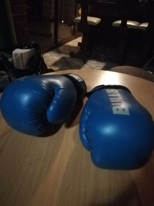 BOXING GLOVES (HEAVY DUTY)