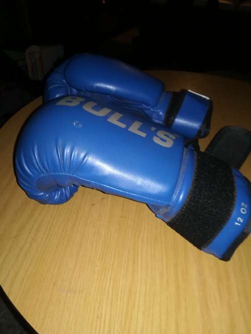 BOXING GLOVES (HEAVY DUTY)