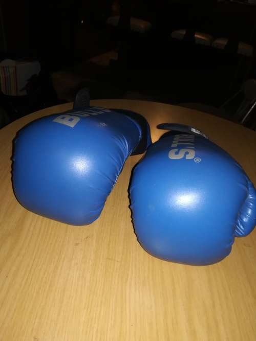 BOXING GLOVES (HEAVY DUTY)