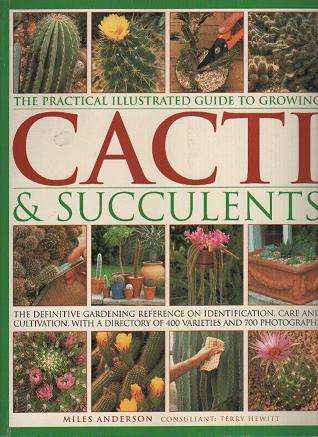 (B20) Cacti & Succulents by Miles Anderson