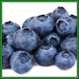Highbush Blueberry - Vaccinium corymbosum Seeds - Edible Fruit - Shrub - New