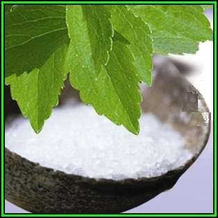 Stevia rebaudiana - Organic Non GMO Seeds- 300 X Sweeter than Sugar, NEW