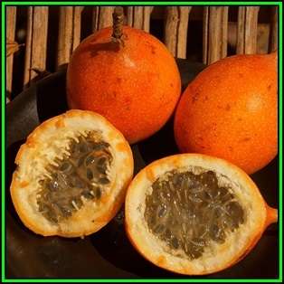 Passiflora ligularis - Passion Flower Sweet Granadilla Seeds - Edible Fruit - New