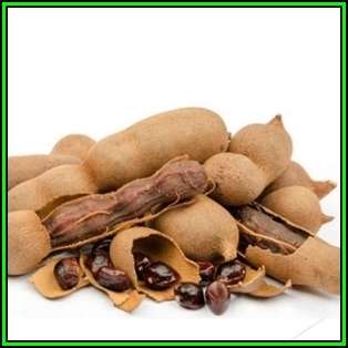 Sweet Tamarind, Indian Date Tree - Tamarindus indica - 5 Seeds - NEW