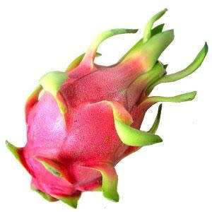 Hylocereus undatus - 10 Seed Pack - Dragonfruit, White Pitaya Succulent Cactus Edible Fruit - NEW