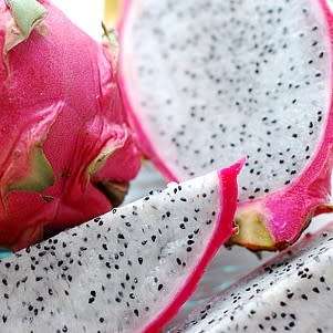 Hylocereus undatus - 10 Seed Pack - Dragonfruit, White Pitaya Succulent Cactus Edible Fruit - NEW