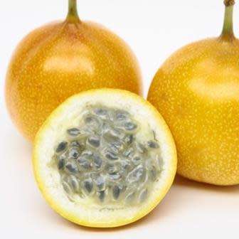 Passiflora ligularis - Passion Flower Sweet Granadilla - 5 Seed Pack - Edible Fruit