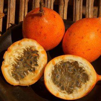 Passiflora ligularis - Passion Flower Sweet Granadilla - 5 Seed Pack - Edible Fruit