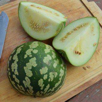 Citrullus lanatus ssp. lanatus var. citroides Seeds - Citron Melon, Makataan Edible Fruit Vine
