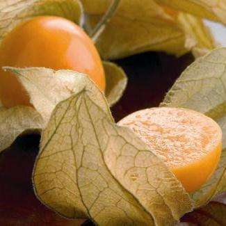 Cape Gooseberry Seeds - Physalis peruviana Fruit Seeds - Appelliefie - Annual Perennial Medicinal