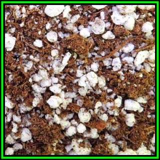 5 Litre Carnivorous Growing Medium No.3 - Sterile Mix - Growing Aids - Hydroponics