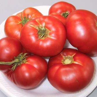 20 Ponderosa Red Tomato Seeds - Lycopersicon esculentum Heirloom Seeds - Vegetable Seeds