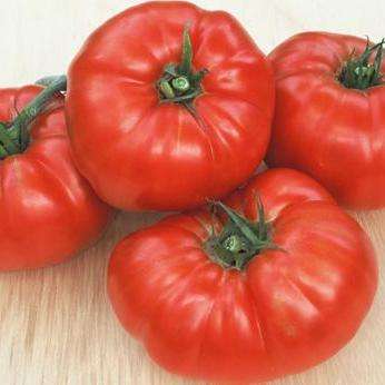 Tomato Super Beefsteak Seeds - Lycopersicon esculentum Heirloom Seeds - Vegetable Seeds
