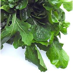 100+ Rocket Seeds - Eruca sativa Seeds - Culinary Herb Seeds For Sale in South Africa