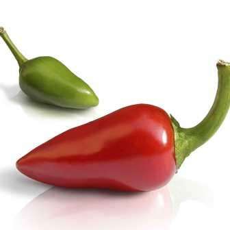 10 Paprika Seeds - Capsicum Papri Queen Seeds - Vegetables - Chili Chilli Chile