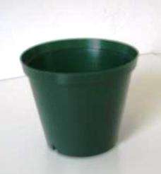 10 cm Plastic Plant Pot ~ Green
