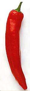 Capsicum Chilli Inchanga Seeds