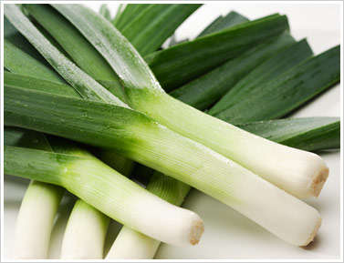 Leeks - Carentan Vegetable Seeds ~ Allium ampeloprasum var. porrum Seeds