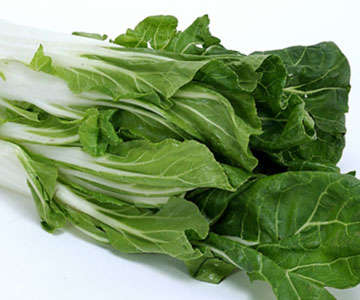 Swiss Chard Vegetable Seeds ~ Beta vulgaris var. cicla Seeds