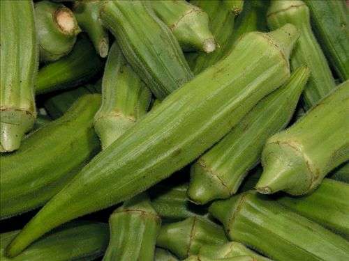 30 Okra Vegetable Seeds ~ Abelmoschus esculentus Seeds