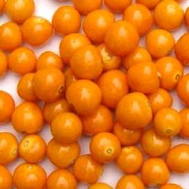 35 Cape Gooseberry Seeds - Physalis peruviana Seeds - Fruit Seeds