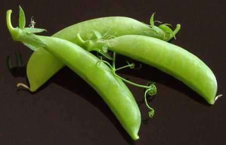 Sugar Snap Pea Vegetable Seeds ~ Pisum sativum Seeds