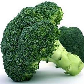 Broccoli Waltham Seeds - Brassica oleracea - Heirloom Vegetable Seeds