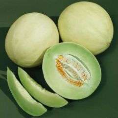 10 Melon - Spanspek - Green Honey Dew - Cucumis melo - Fruit Seeds