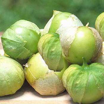 Tomato Tomatillo Toma Verde Seeds - Physalis philadelphica - Vegetable Seeds