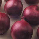 10 Onion F1 Red Zeppelin - Allium cepa - Vegetable Seeds