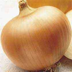 Yellow Sweet Spanish Onion Seeds - Allium cepa - Vegetable Seeds To Buy In South Africa