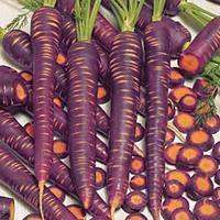 10 Carrot Purple Haze - Hybrid Seeds - Daucus carota subsp. sativus - Vegetable Seeds