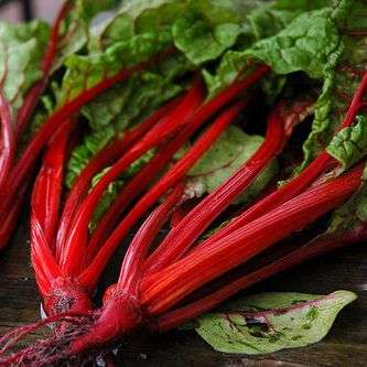 50 Swiss Chard Ruby Red - Beta vulgaris var. cicla - Vegetable Seeds