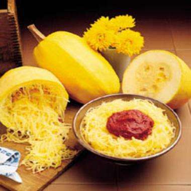5 Squash Winter Vegetable Spaghetti Seeds - Cucurbita pepo Seeds - Vegetable Seeds