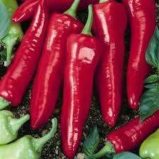 10 Numex Big Jim Chilli Pepper Seeds - Capsicum annuum - Chili Chile - Vegetable Seeds