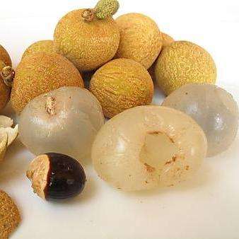 5 Dimocarpus longan Seeds - Thai Longan Fruit Seeds - Edible Fruit Tree Seeds