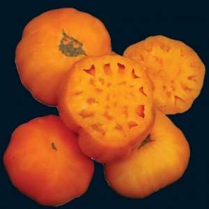 Amana Orange Tomato Seeds - Lycopersicon esculentum Heirloom Seeds â Vegetable Seeds