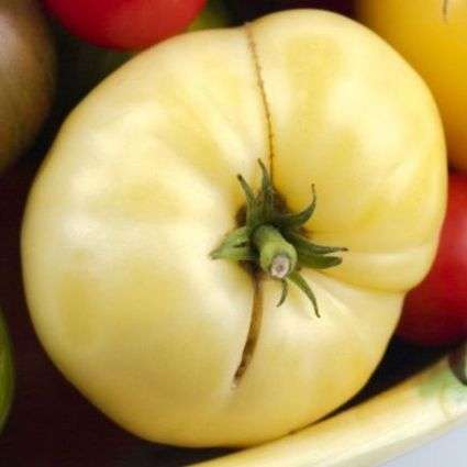 10 Great White Beefsteak Tomato Seeds - Lycopersicon esculentum Seeds - Heirloom Vegetable Seeds