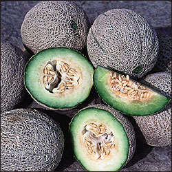 Rocky Ford Honey Dew Green Melon Seeds - Cucumis melo - Heirloom Fruit Seeds
