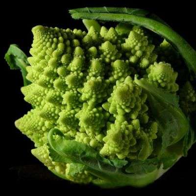 10 Romanesco Broccoli Seeds - Brassica oleracea italica - Vegetable Seeds