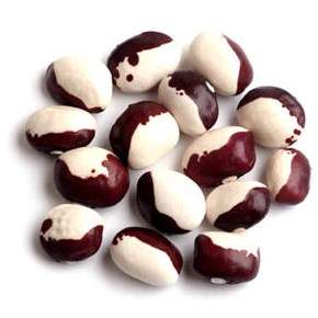 15 Red Calypso Bean Seeds - Phaseolus vulgaris - Vegetable Seeds