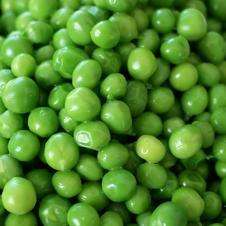 Early Alaska Running Pea Seeds - Pisum sativum - Vegetable Seeds